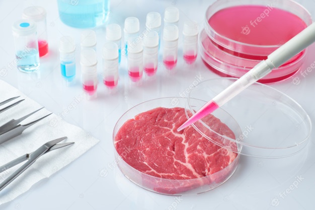 Carne cultivada em laboratório: pesquisadora do CEFET-MG é uma das pioneiras no Brasil no desenvolvimento da tecnologia