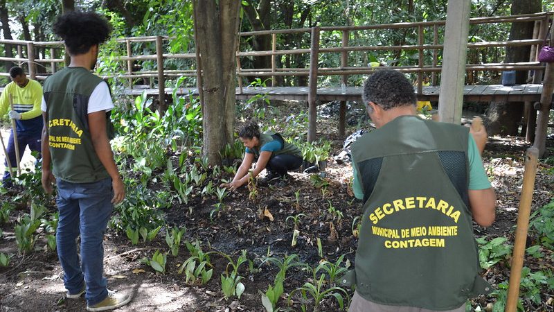 Secretaria de Meio Ambiente realiza plantio de mudas, serviços de limpeza e manutenção no Parque do Eldorado