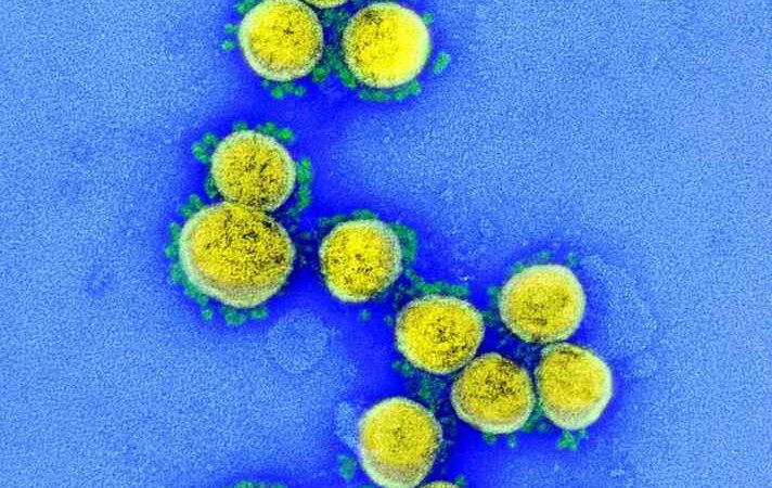 CTVacinas-UFMG detecta nova linhagem da variante ômicron no Brasil