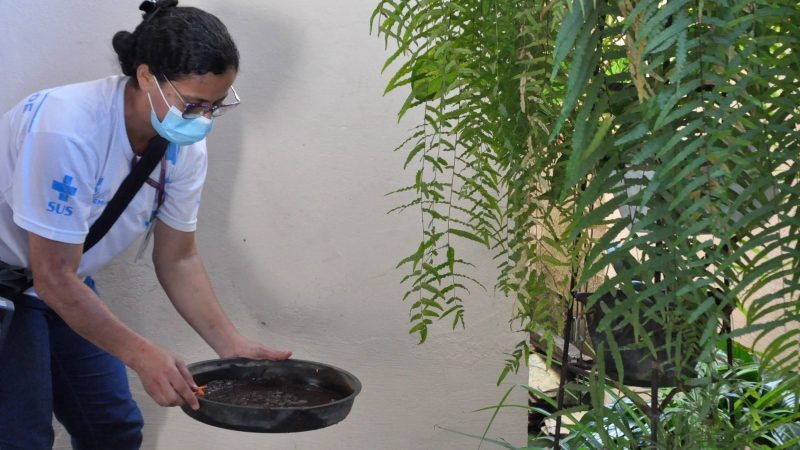 Contagem segue em alerta contra a dengue mesmo no período seco