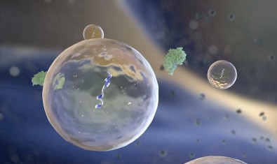 Estudo de proteínas secretadas por células tumorais indica novos caminhos para o combate ao câncer