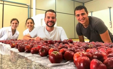 Antioxidante de acerola pode substituir aditivo sintético banido em vários países e ainda usado no Brasil