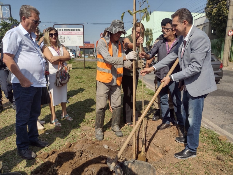 Regional Riacho: avenida Centauro recebe plantio de árvores que trarão mais qualidade ambiental e paisagística para o local