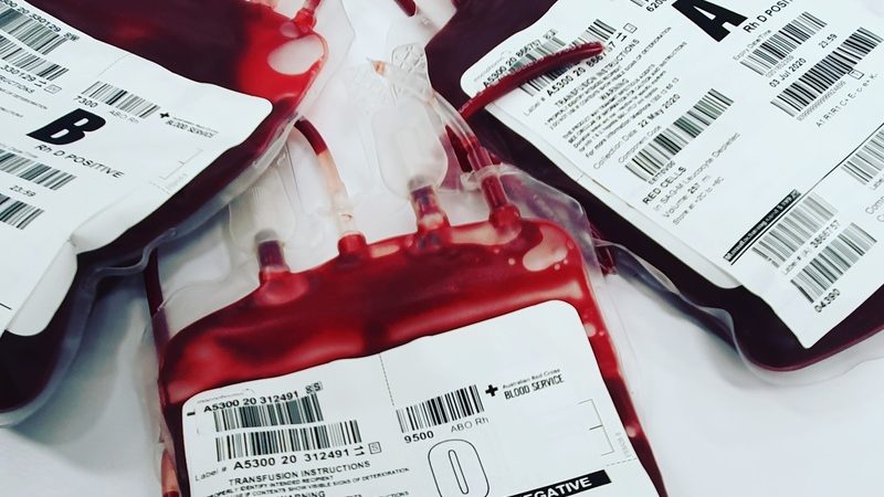 Junho Vermelho: 5 mitos sobre doação de sangue que você precisa saber 