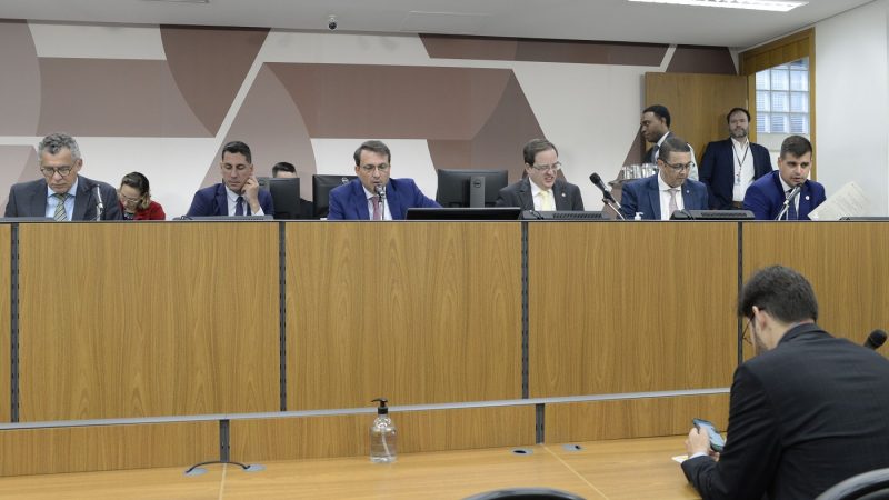 ALMG: CCJ dá aval a regulamentação de comércio de cães e gatos de raça