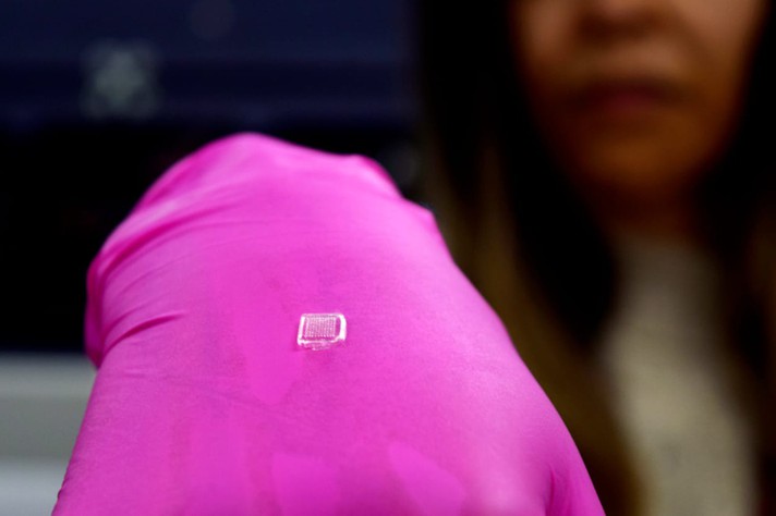 UFMG testa adesivos de pele para aplicação de vacinas