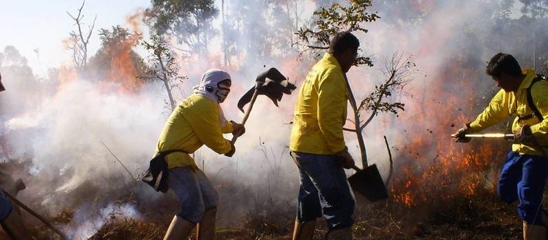 Governo de Minas faz força-tarefa e investe em ações de prevenção e parcerias para combater incêndios florestais
