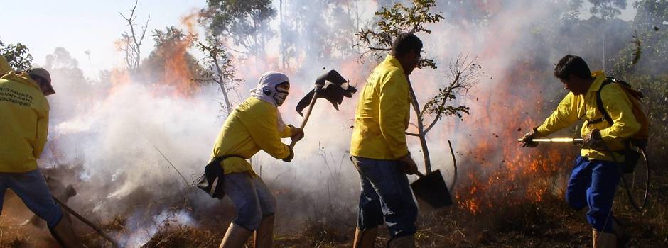 Governo de Minas faz força-tarefa e investe em ações de prevenção e parcerias para combater incêndios florestais