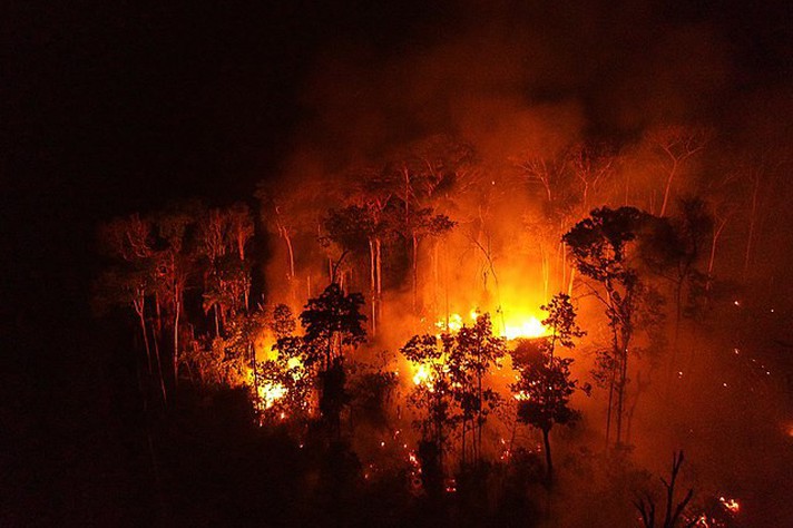 Estudo UFMG: desmonte ambiental fez dobrar emissões de carbono na Amazônia nos primeiros anos do governo Bolsonaro