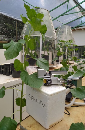 Estudo da UFMG simula atmosfera de 2100 para entender impacto do clima na produção de alimentos