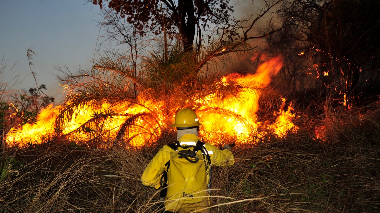 Governo de Minas une forças para evitar incêndios florestais no estado