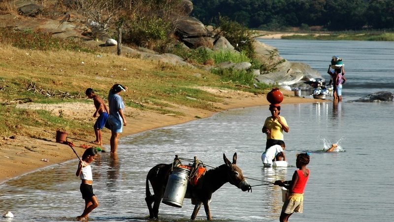 Entidades lançam campanha nacional para inserir na Constituição Federal o Cerrado e Caatinga como patrimônios do Brasil