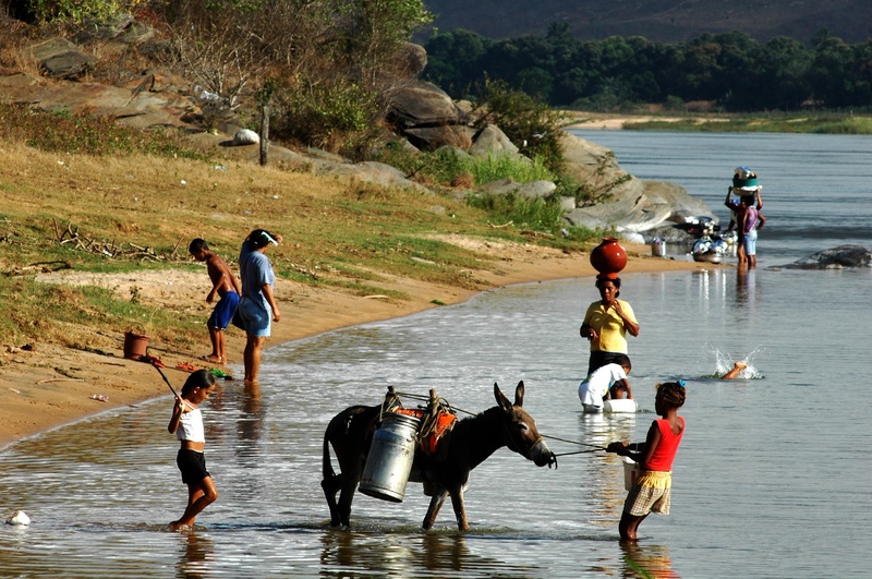 Entidades lançam campanha nacional para inserir na Constituição Federal o Cerrado e Caatinga como patrimônios do Brasil