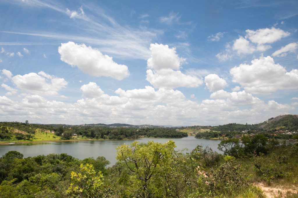 Prefeitura organiza II Semana Florestal e mostra o que tem feito para melhorar o ecossistema na cidade