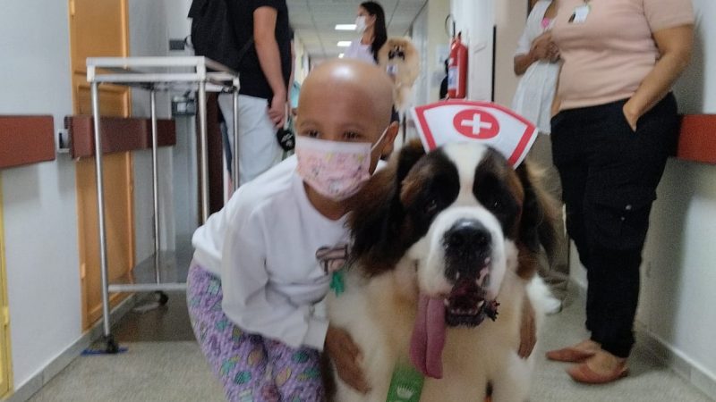 Projeto Amigo pra Cachorro leva ao HC-UFMG o cão terapeuta Hulk e o Galo Doido, mascote do Atlético Mineiro