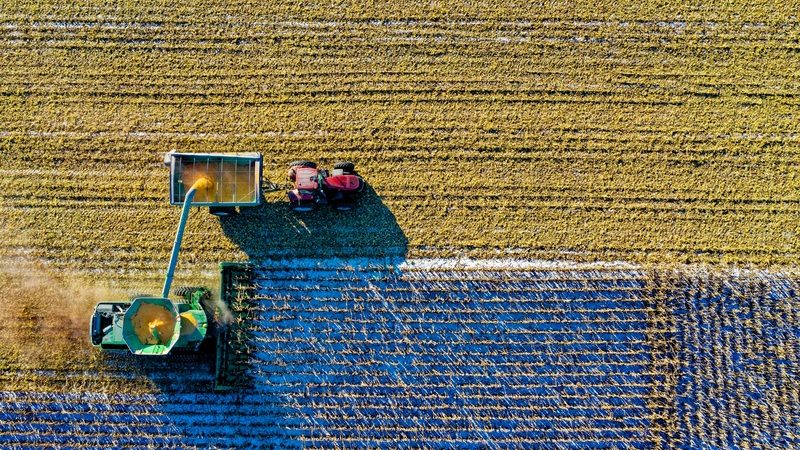 Modernização na indústria alimentícia e o papel dos motores elétricos