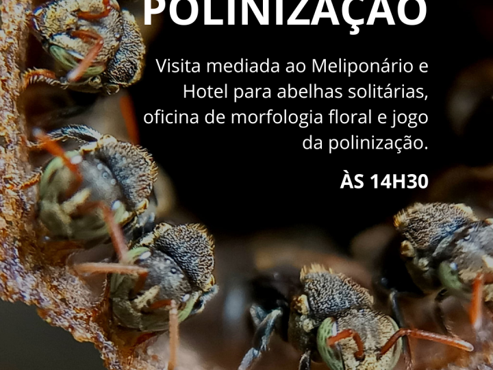 MHNJB-UFMG promove atividades gratuitas neste sábado