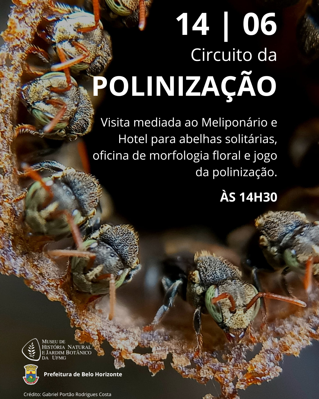 MHNJB-UFMG promove atividades gratuitas neste sábado