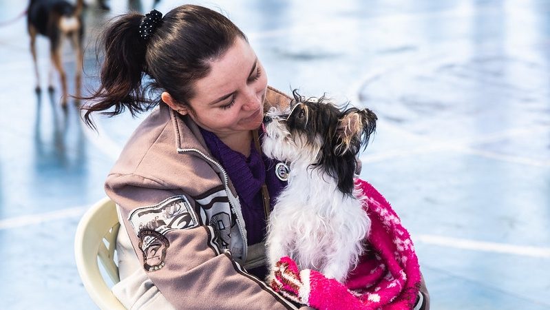 5º mutirão de castração de cães e gatos, em Contagem. cadastramento aberto