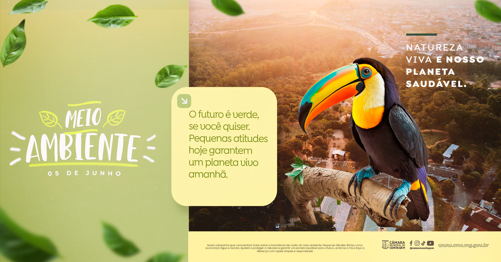 Semana do Meio Ambiente: Conheça a legislação de Contagem