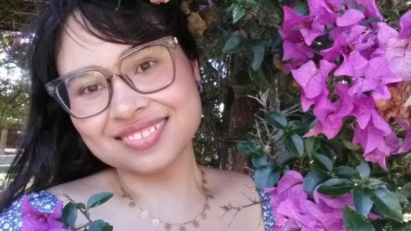Alternativas criativas às rosas: docente do Senac dá dicas de flores para inovar no Dia dos Namorados
