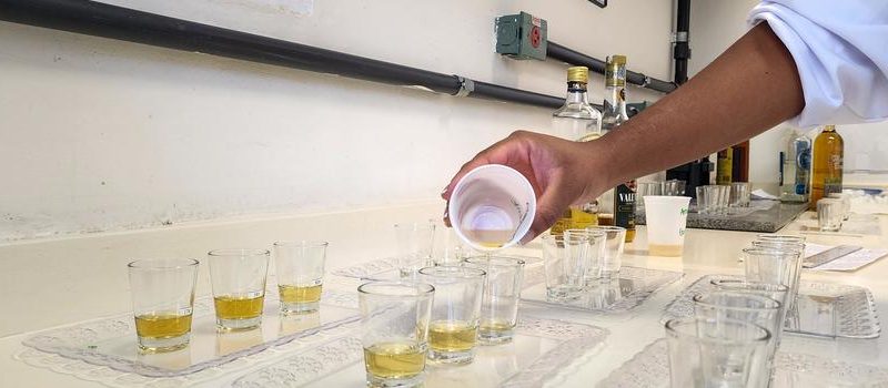 2ª edição de concurso para premiar as melhores cachaças e aguardentes do estado