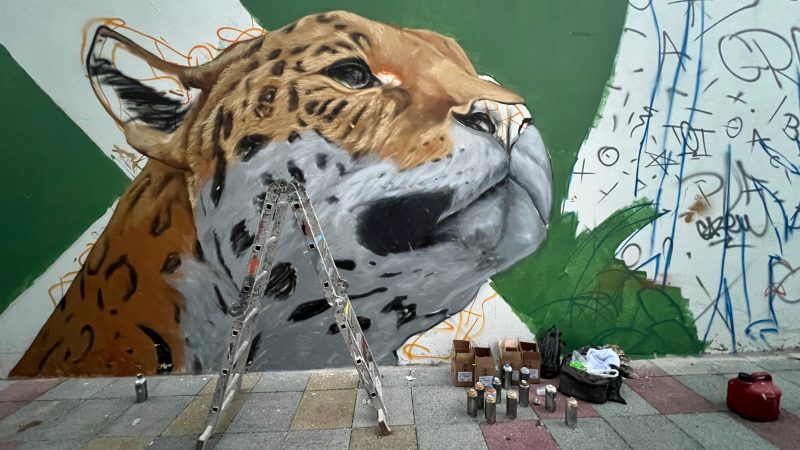 NUBECO CRIA O MAIOR CORREDOR DE ARTE URBANA DA REGIÃO METROPOLITANA DE BH