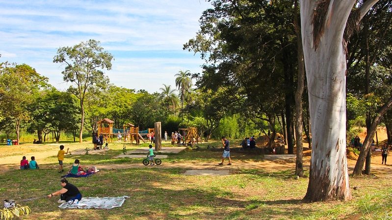 Dia da Árvore: Prefeitura realiza caminhada pelo clima e plantio coletivo no Parque Cataguás