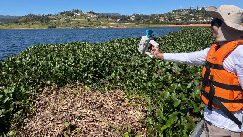 Pesquisadores da UFMG atuam em projeto de recuperação da Lagoa de Ibirité