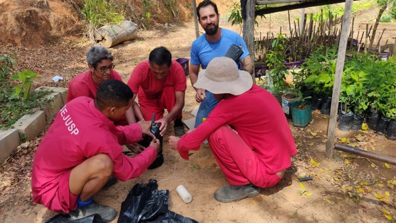 Presídio José Abranches Gonçalves, em Ribeirão das Neves, forma primeira turma de meliponicultores