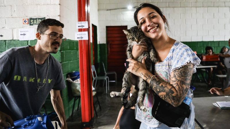 Saúde animal: castração gratuita de cães e gatos chega às regiões Industrial e Ressaca
