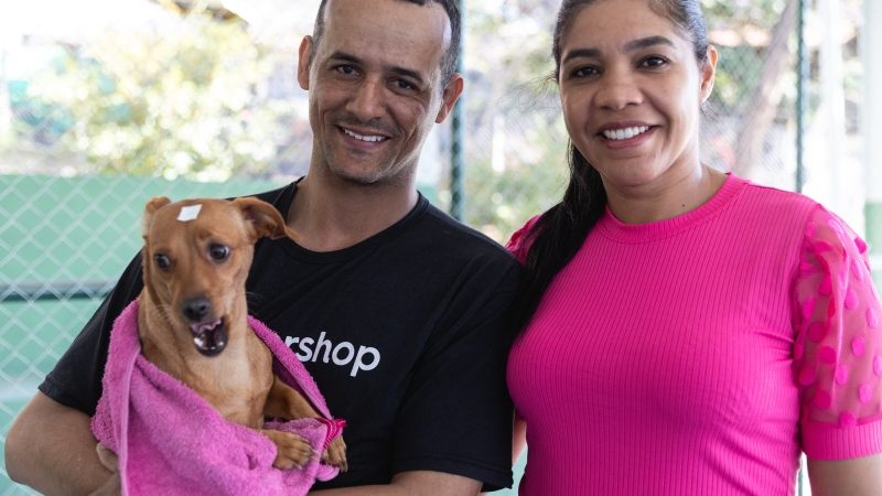 Região Sede: cadastro para castração de cães e gatos iniciado