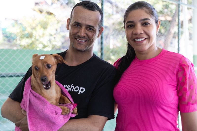 Região Sede: cadastro para castração de cães e gatos iniciado
