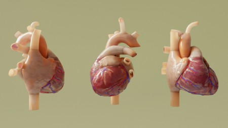 Técnica acessível de imagem pode prever riscos cardíacos em pacientes com doença de Chagas