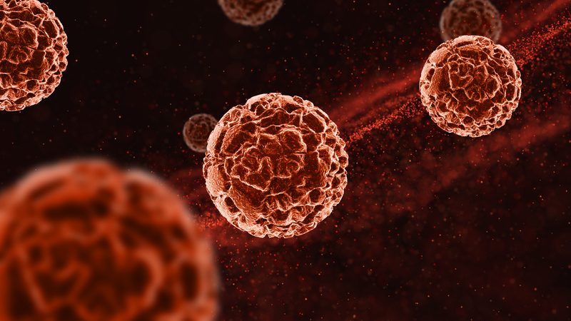 Cansaço persistente, infecções frequentes e ínguas: quando os sinais podem indicar câncer hematológico