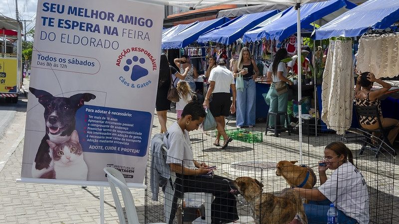 Adoção de animais na Feira do Eldorado neste sábado (7/3)