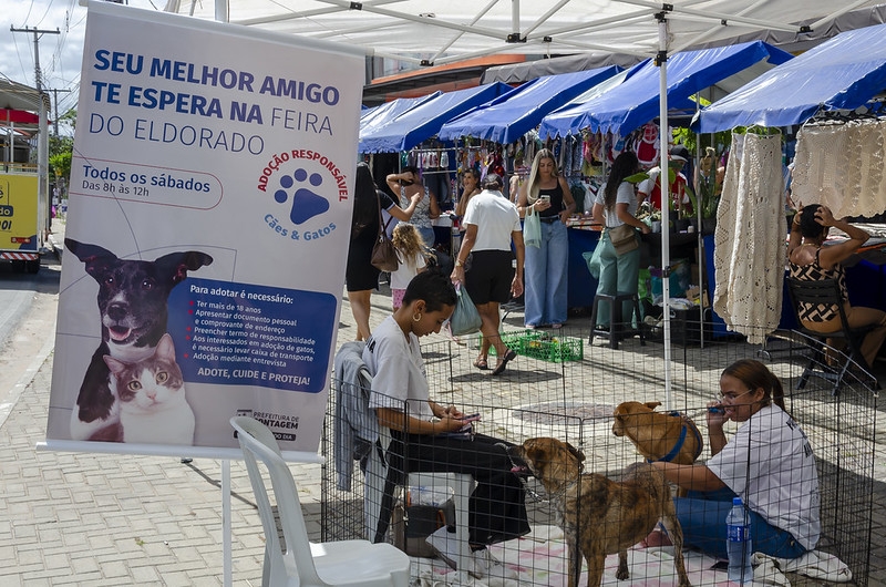 Adoção de animais na Feira do Eldorado neste sábado (7/3)