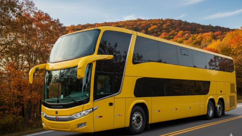 Acusado de importunação em ônibus tem prisão preventiva decretada