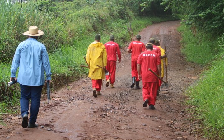 Presídio de Caratinga promove atividades de plantio e cultivo em áreas de reserva ambiental