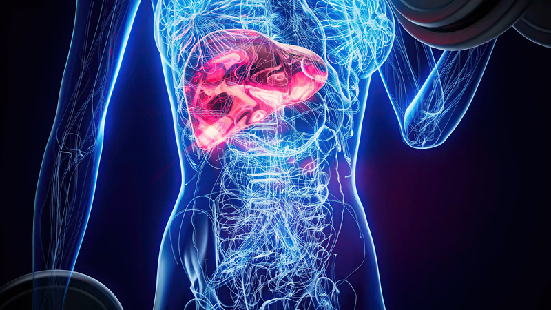 Maio Vermelho: hepatites B e C aumentam o risco de câncer de fígado