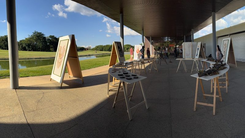 EXPOSIÇÃO “ECO ALA” É ÓTIMA OPÇÃO DURANTE A SEMANA NACIONAL DO MEIO AMBIENTE