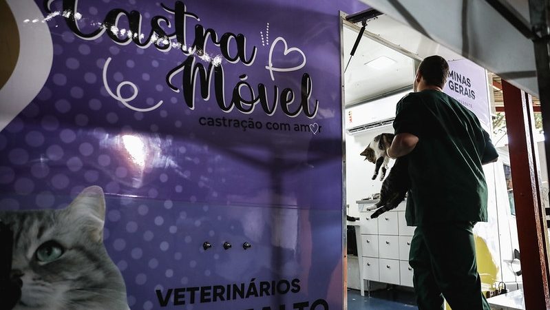 Abertas as inscrições para mega mutirão de castração com mais de 1.500 atendimentos