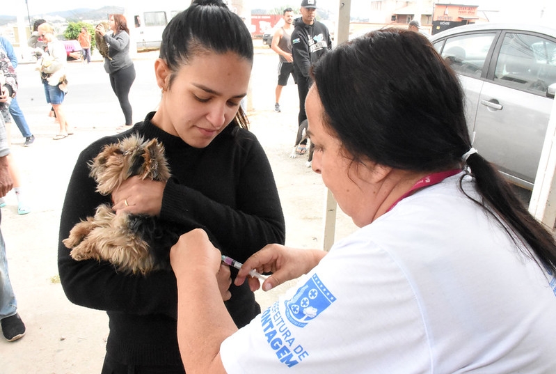 Contagem realiza Campanha de Vacinação Antirrábica para Cães e Gatos no dia 11/7