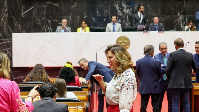 Plenário aprova medidas de incentivo ao Carnaval