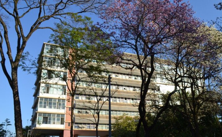 UFMG segue como a melhor federal do Brasil no ranking de Xangai