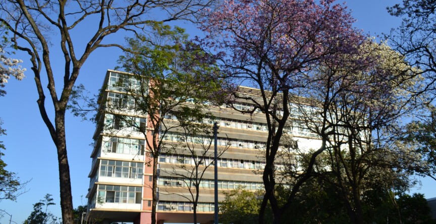 UFMG segue como a melhor federal do Brasil no ranking de Xangai